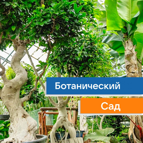 Ботанический сад ННГУ